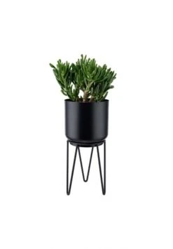 BUTLERS® PLANTA Pflanztopf Mit Gestell Höhe 28cm 7 BUTLERS® PLANTA Pflanztopf Mit Gestell Höhe 28cm -Wohn Esszimmer Geschaft unnamed file 2088